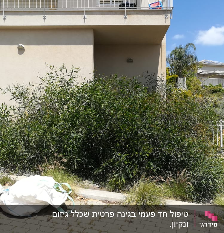 שיחים ירוקים עם שקי גינון לבנים על הקרקע